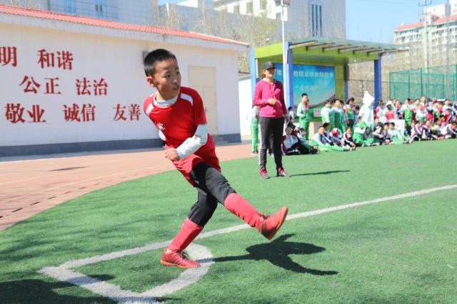曼联夏季转会窗口全力以赴推进多项引援计划